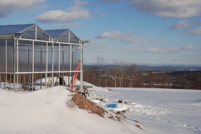 Green House in the Winter, 2009