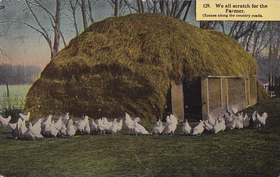 chickencoop