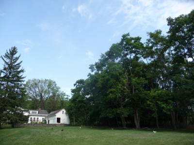 farmhousepasturingchickens farmhousepasturingchickens