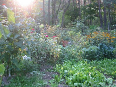 garden2008 garden2008