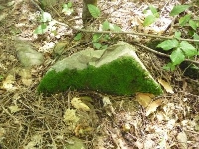 mosstrianglerock
