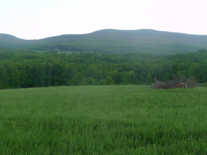 mountain