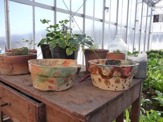planters