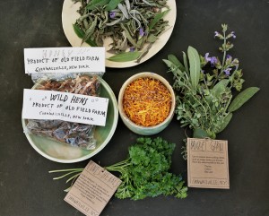 Mushrooms, Herbs and Tisane