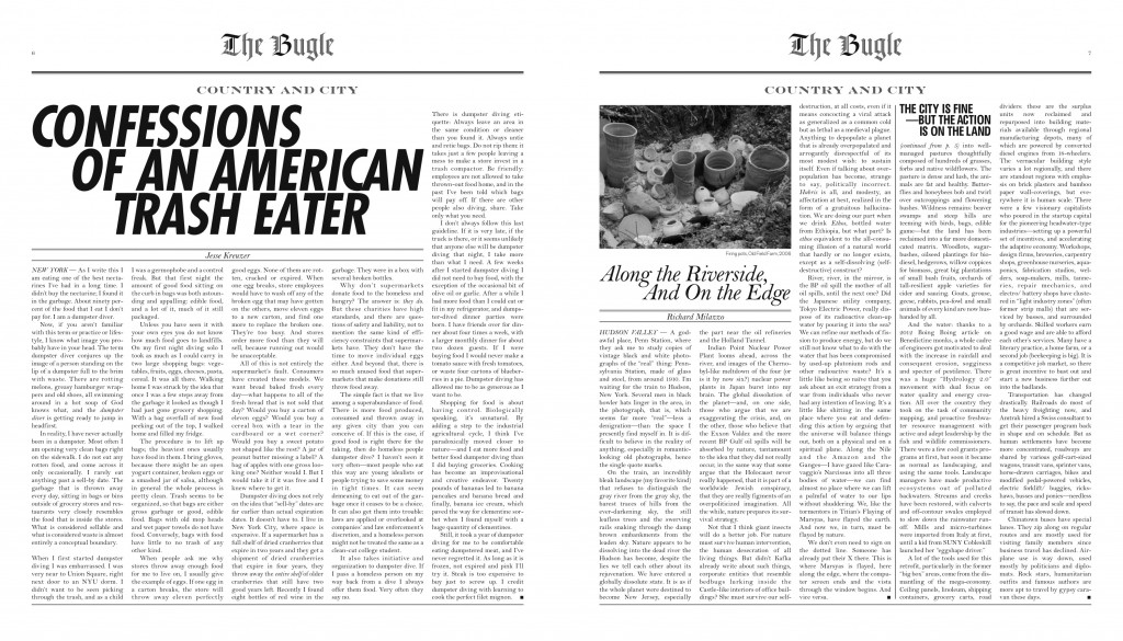 The Bugle Bugle Pg 4
